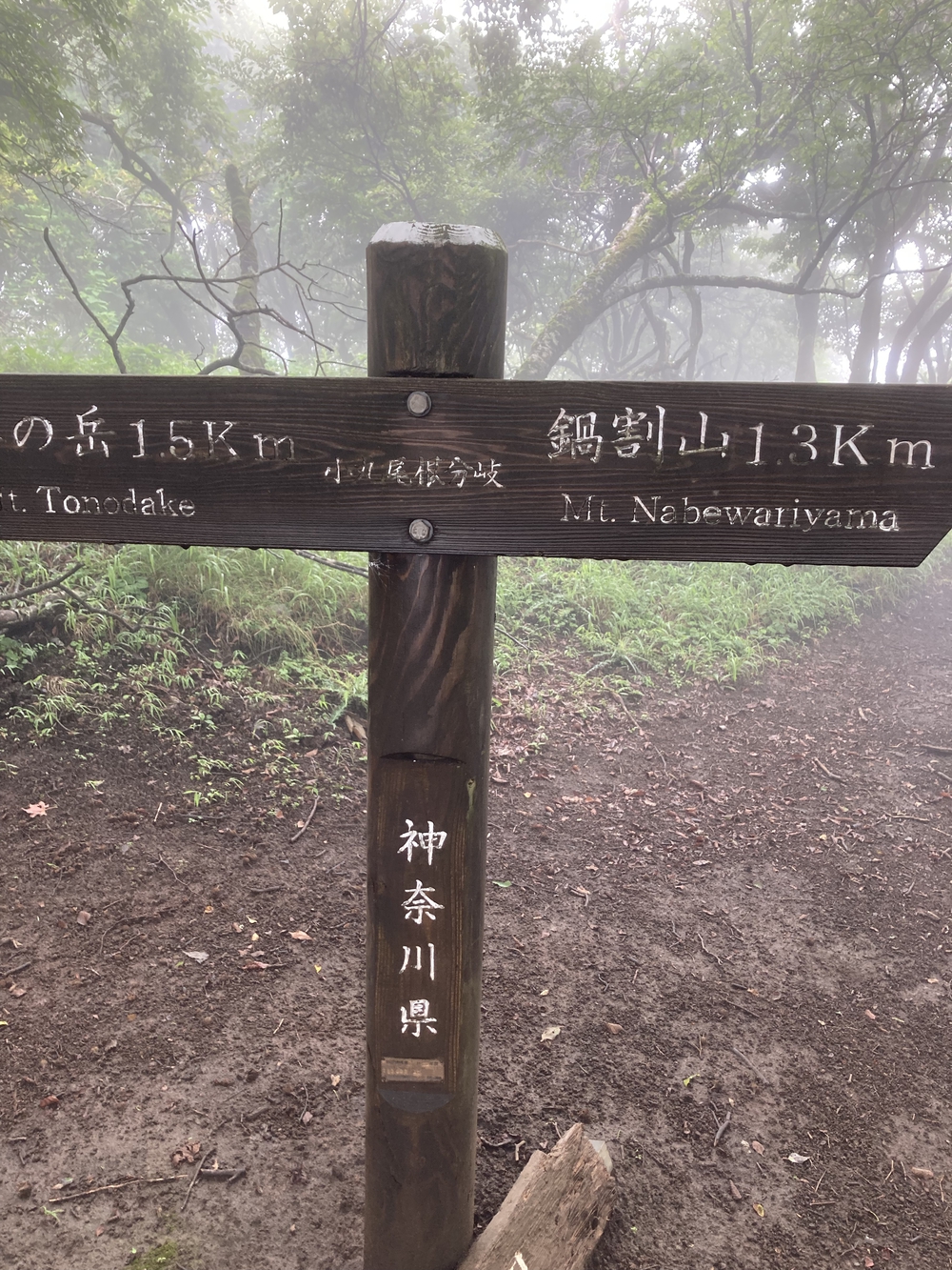 安心だけど脚にきつい塔ノ岳登山の写真7
