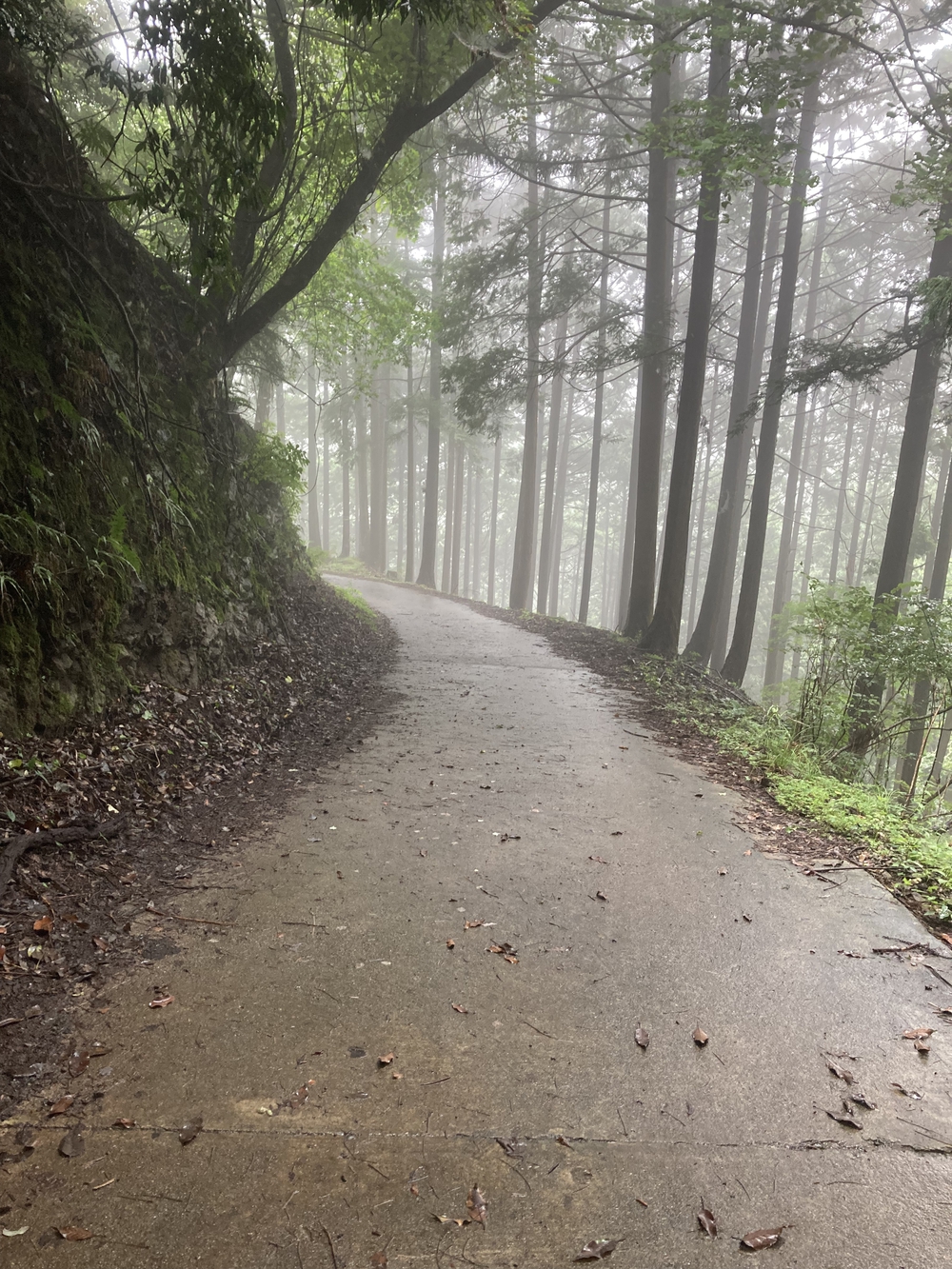 安心だけど脚にきつい塔ノ岳登山の写真9