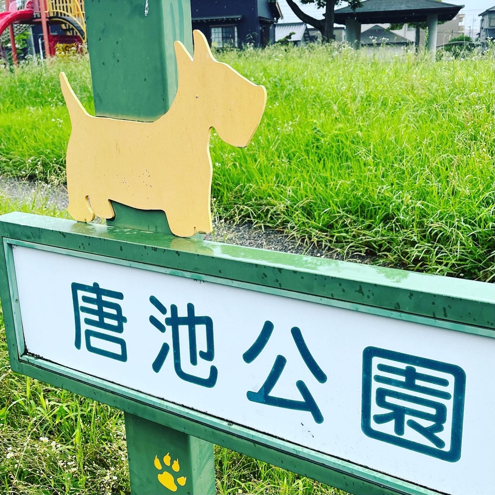 安城市サファリランの写真6