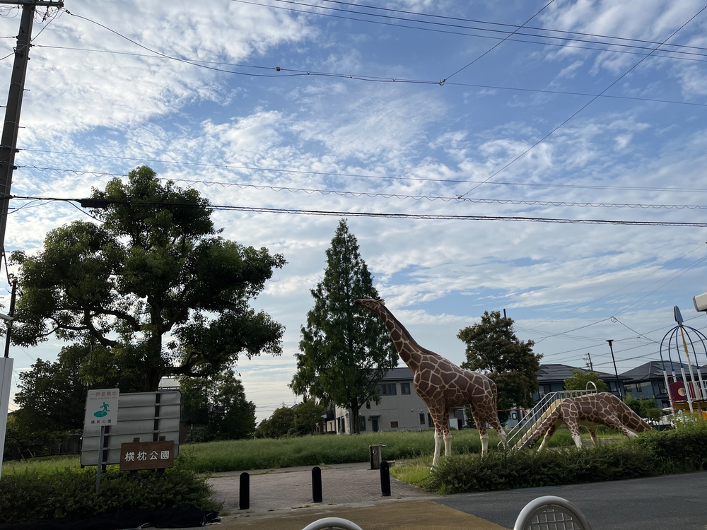 安城市サファリランの写真7