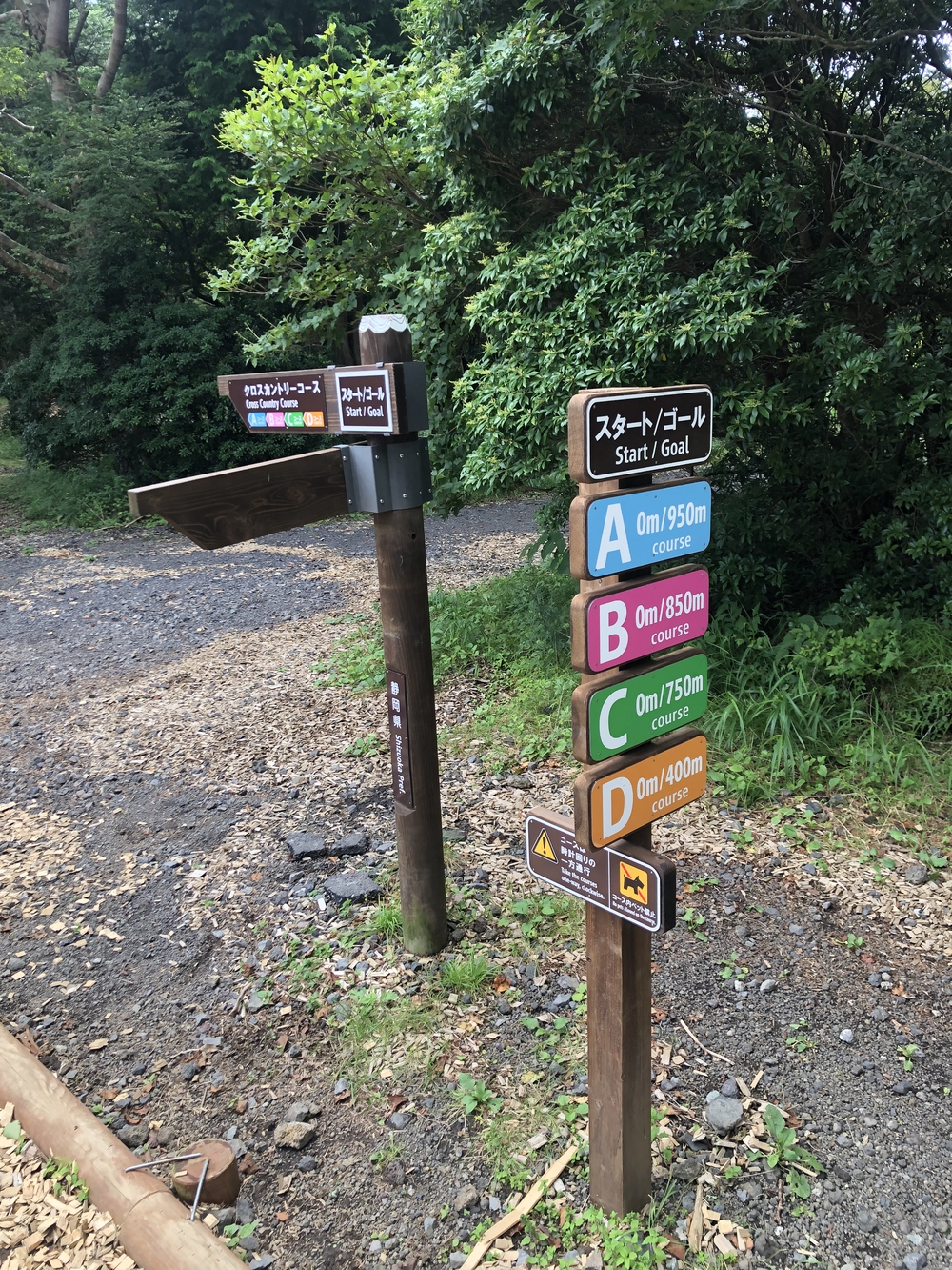 高地トレーニングに。専用クロカンコースの写真3