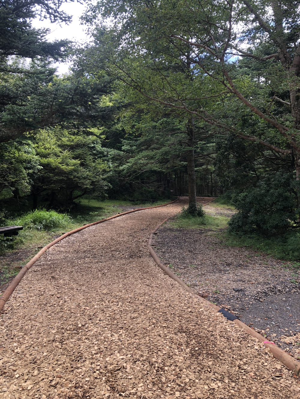 高地トレーニングに。専用クロカンコースの写真4