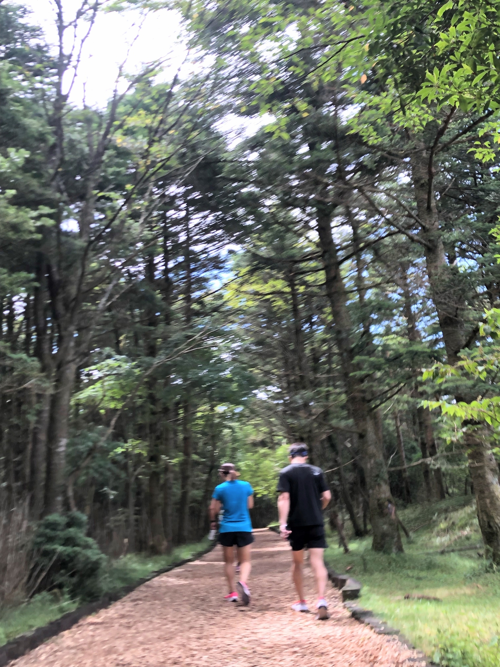 高地トレーニングに。専用クロカンコースの写真5