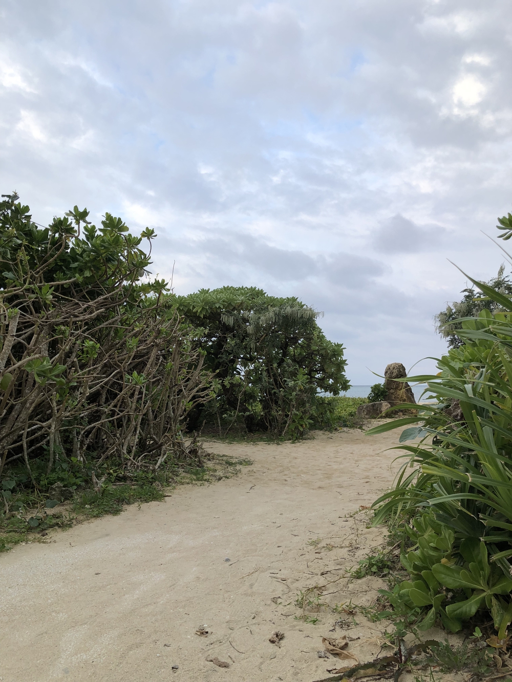 美らサンビーチからの瀬長島の写真3