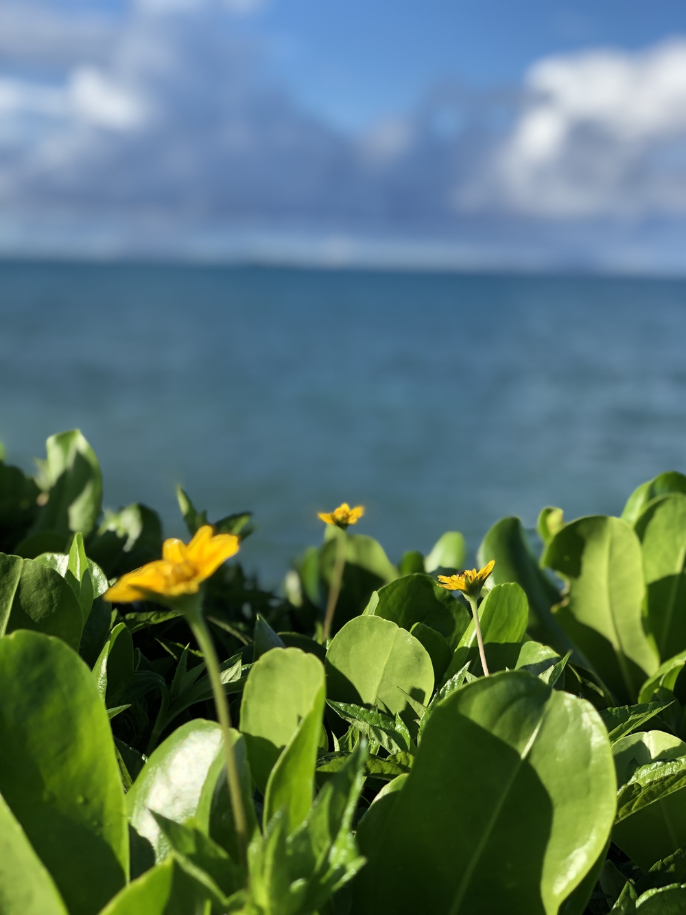 美らサンビーチからの瀬長島の写真4