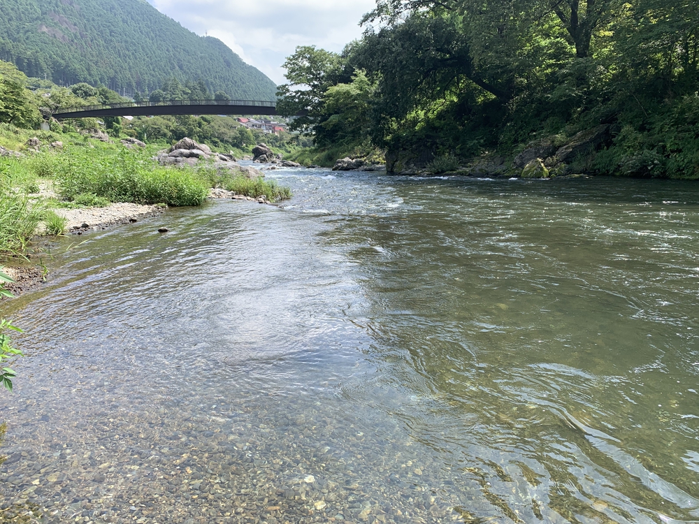 【月一沿線倶楽部】夏の東京アドベンチャーラインの写真3