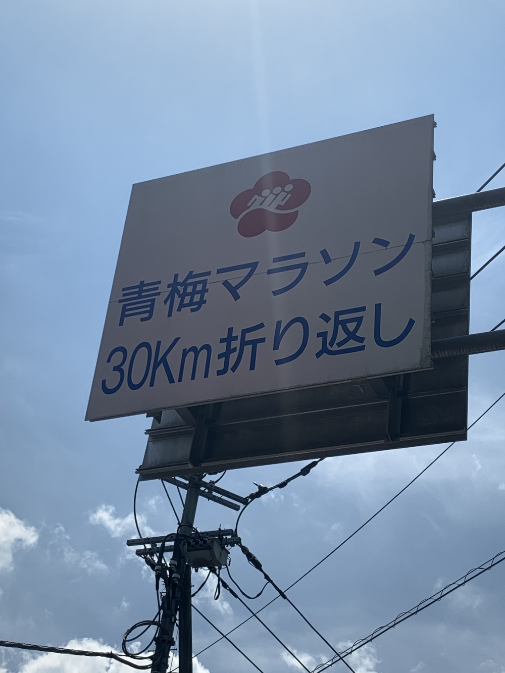 【月一沿線倶楽部】夏の東京アドベンチャーラインの写真4