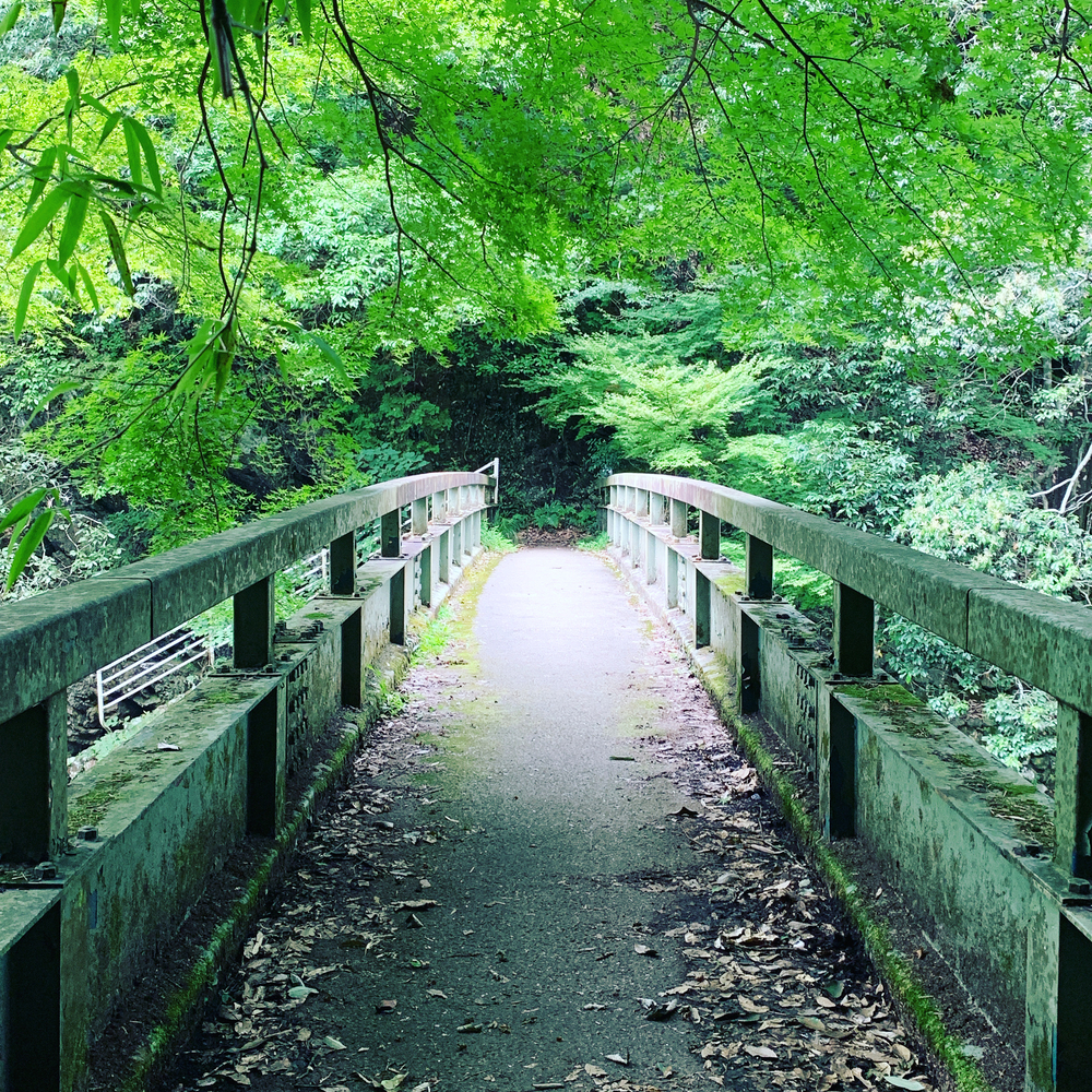 京都洛西ラントリップ！の写真3