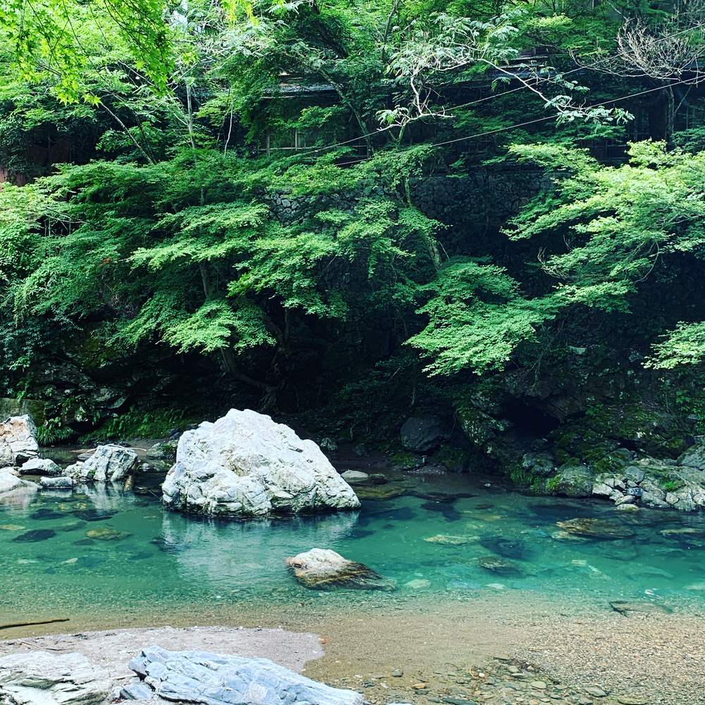 京都洛西ラントリップ！の写真4