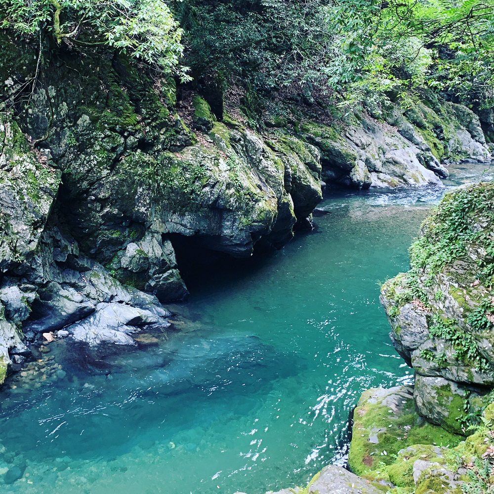 京都洛西ラントリップ！の写真5
