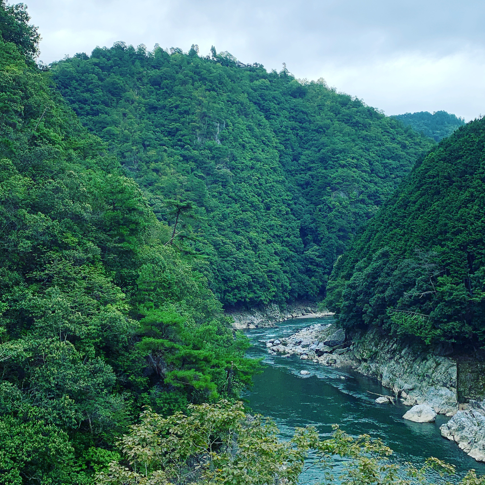 京都洛西ラントリップ！の写真6