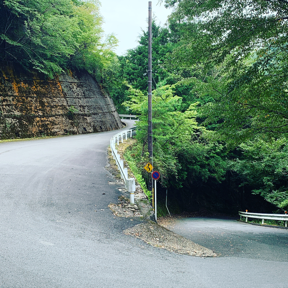 京都洛西ラントリップ！の写真7