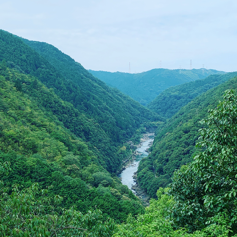 京都洛西ラントリップ！の写真8