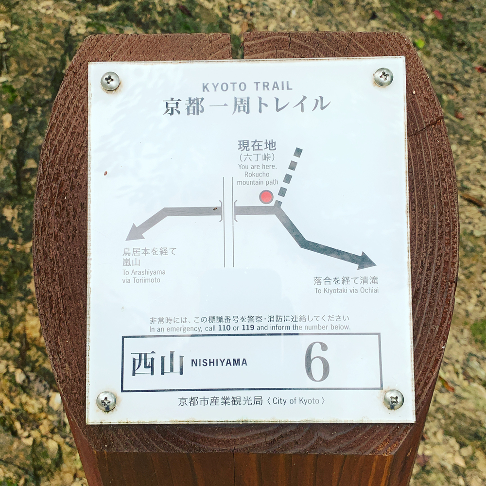 京都洛西ラントリップ！の写真9