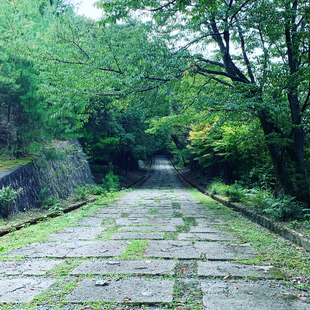 京都洛西ラントリップ！の写真10