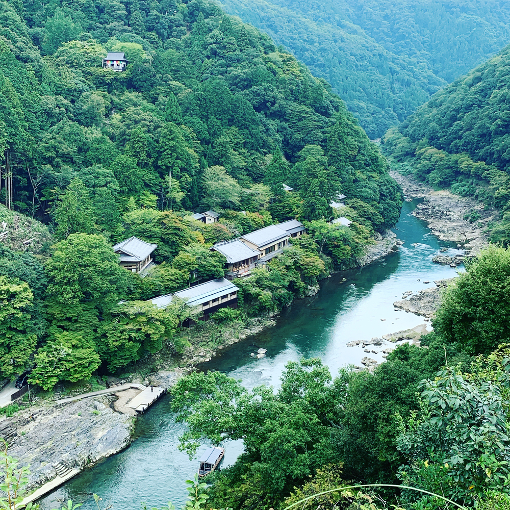京都洛西ラントリップ！の写真12