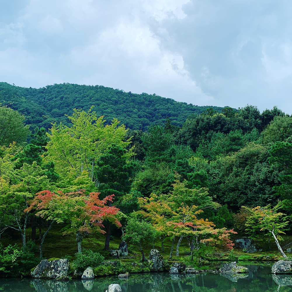 京都洛西ラントリップ！の写真14