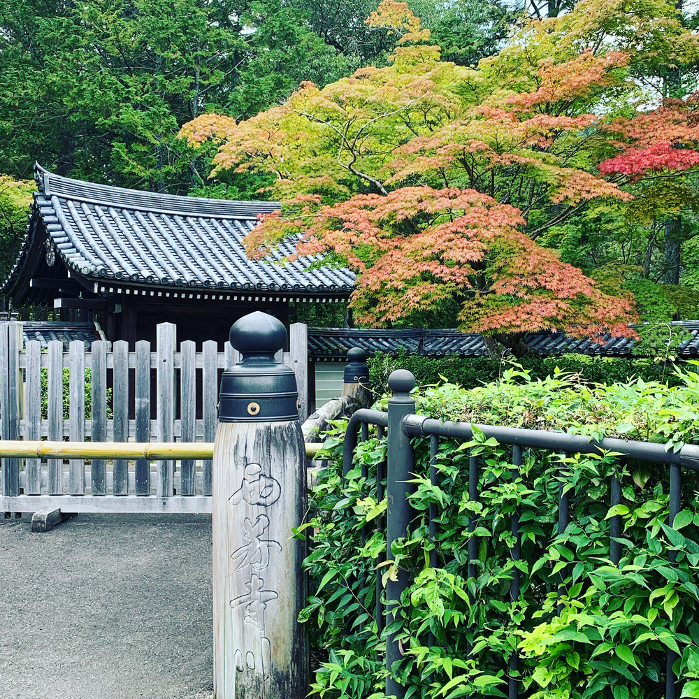 京都洛西ラントリップ！の写真18