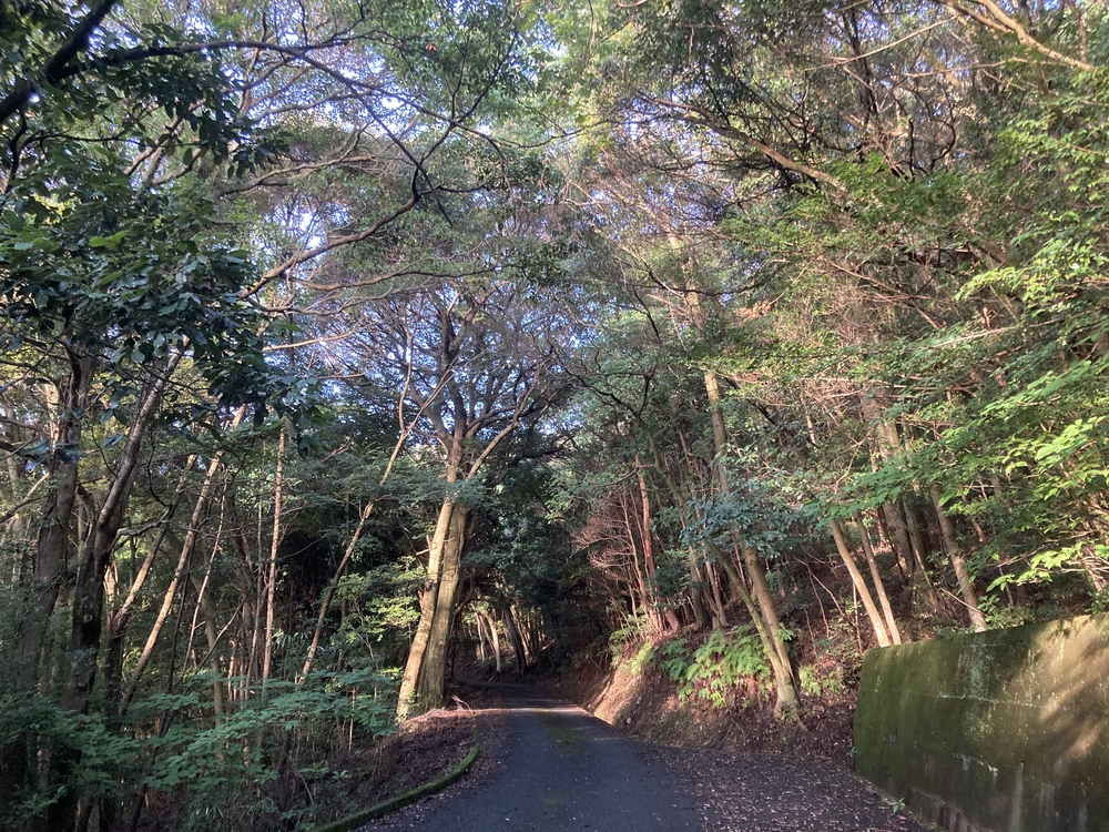 駅近の新山口の急登坂の写真3