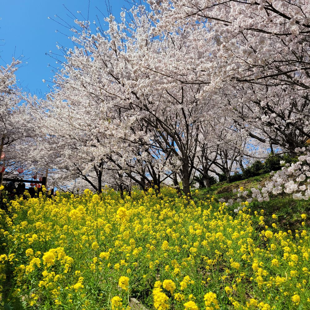 しまなみ海道ランニング　四国側の写真7