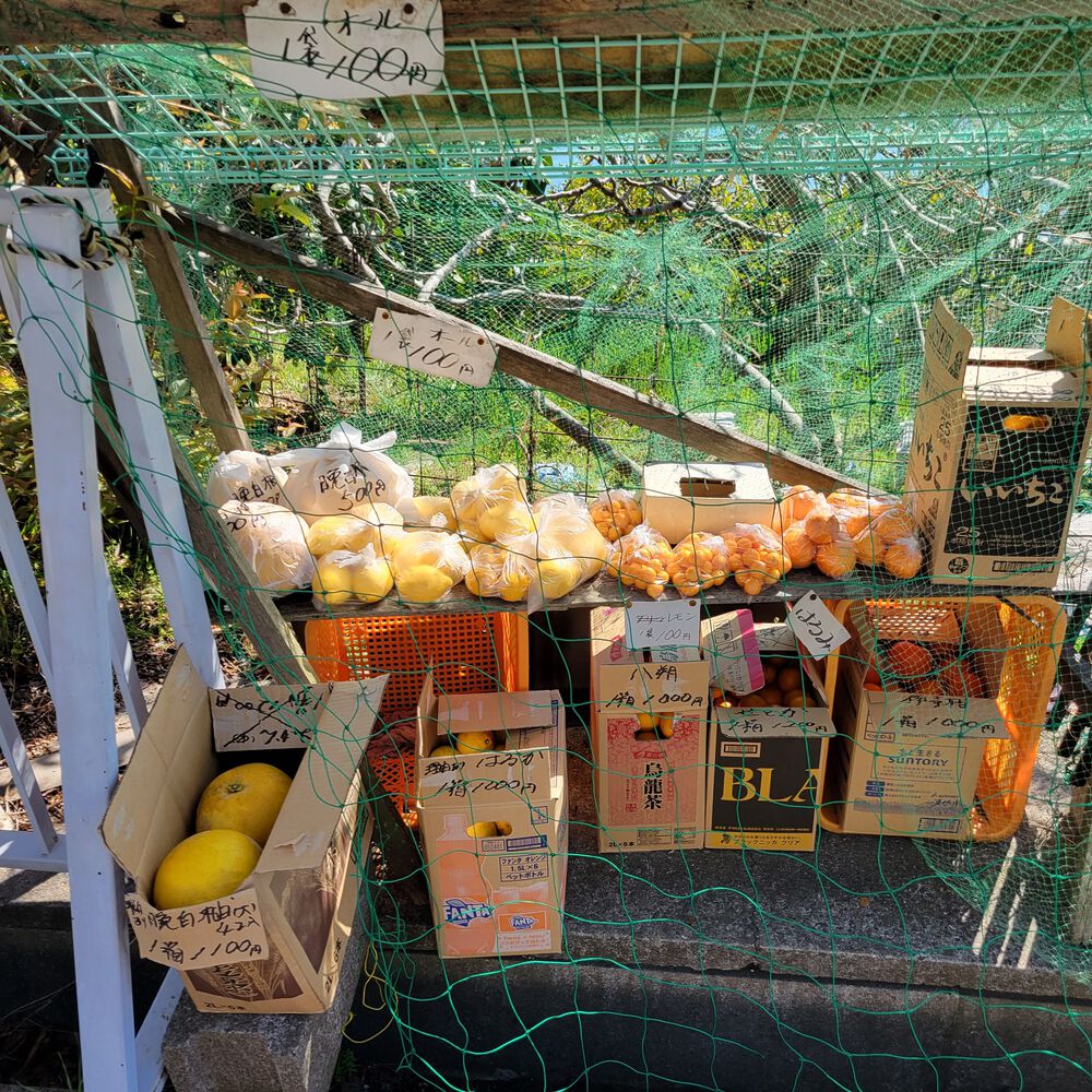 しまなみ海道ランニング　四国側の写真9