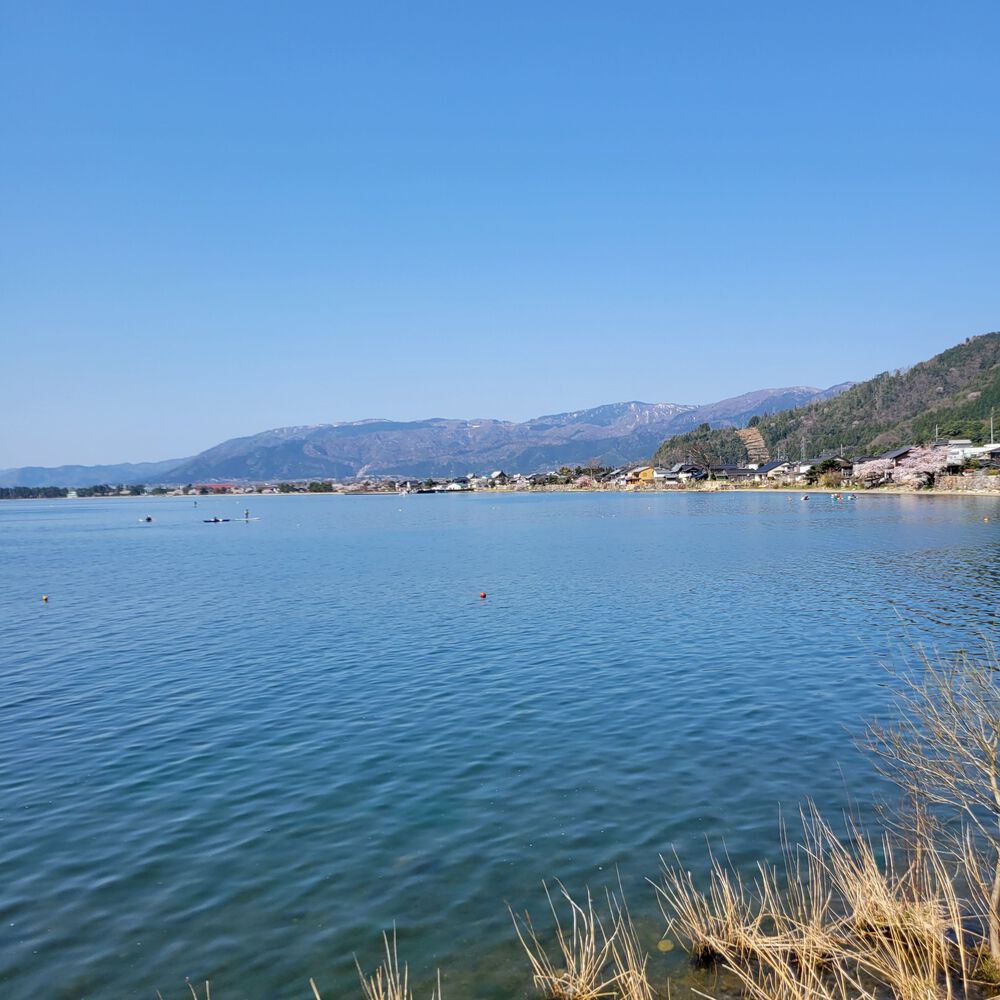 奥琵琶湖お花見ロングランの写真4