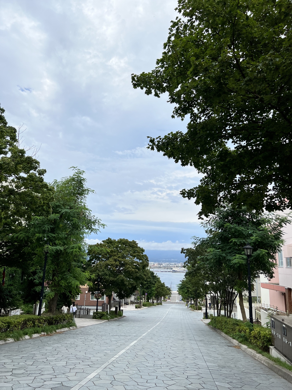 函館旅ラン①〜函館山夜景の写真3