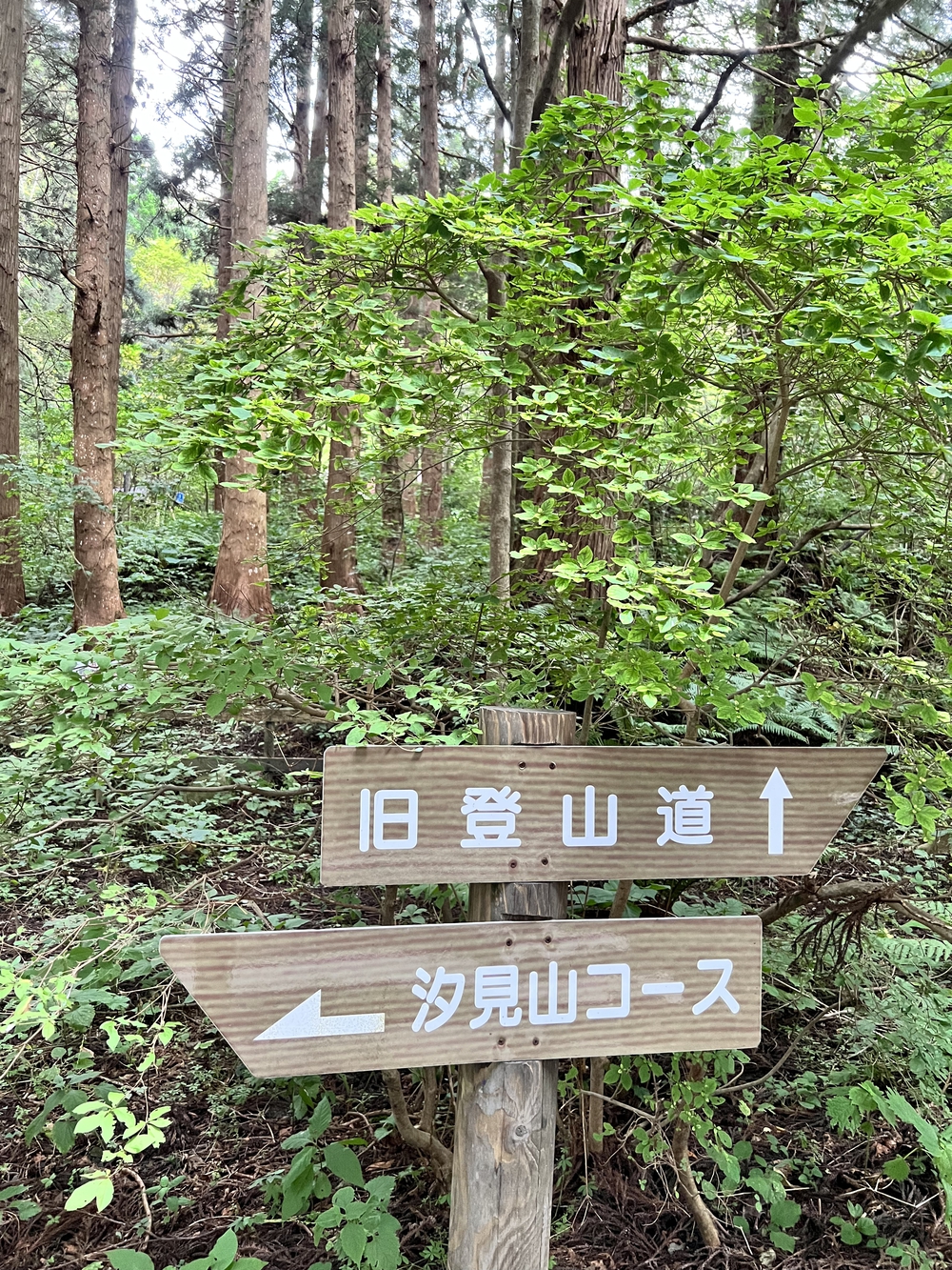 函館旅ラン①〜函館山夜景の写真4