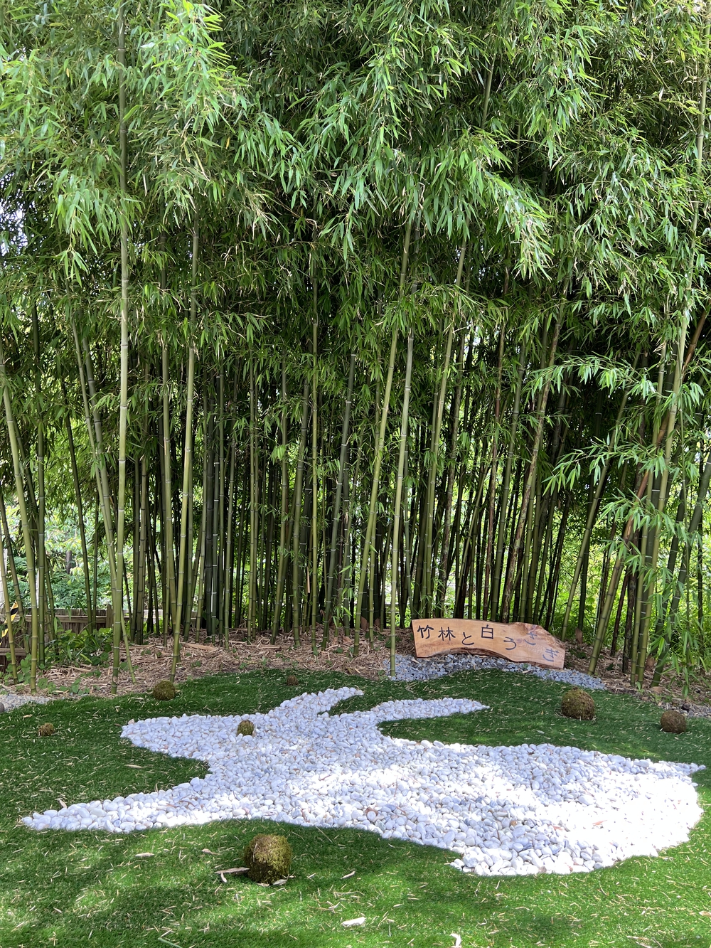 函館旅ラン②〜要所巡りの写真6