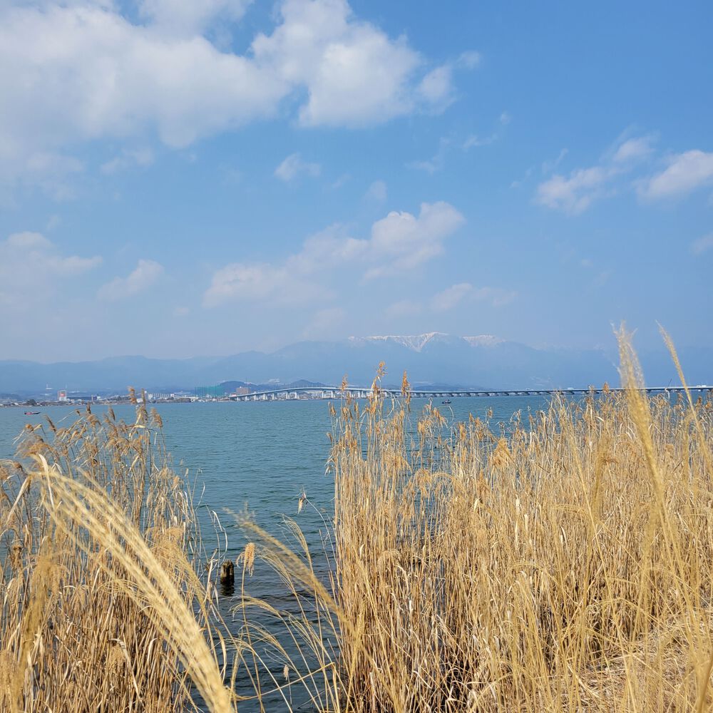 南湖一周フルマラソンコースの写真5