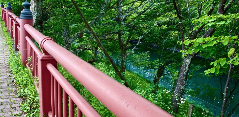 透明度の高い標高1269mの中禅寺湖の写真5