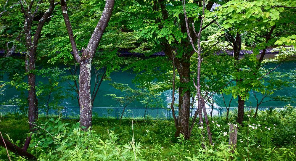 透明度の高い標高1269mの中禅寺湖の写真6