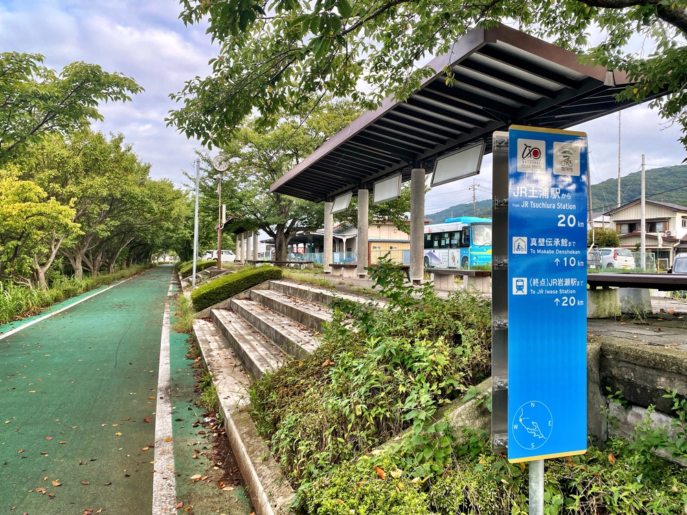 季節限定　つくし湖経由一万本の向日葵畑の写真3