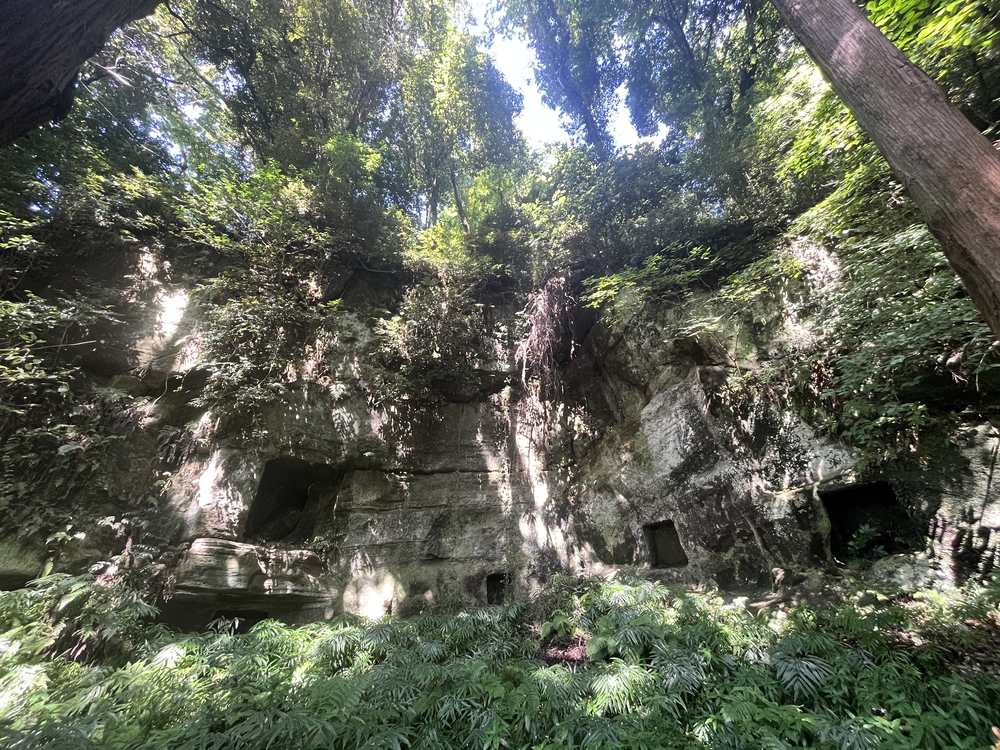 歴史を感じる鎌倉切り通しの写真3