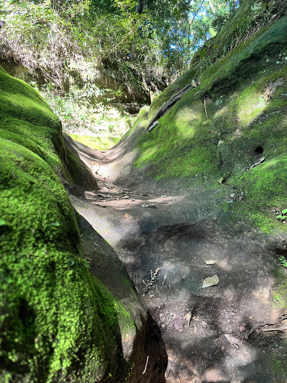 歴史を感じる鎌倉切り通しの写真5