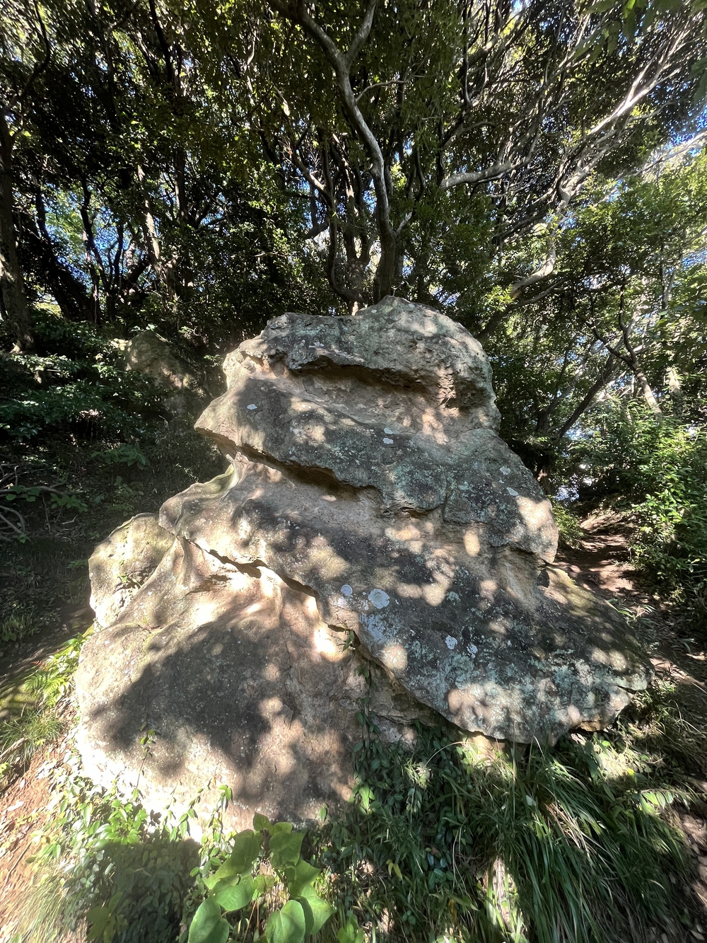 歴史を感じる鎌倉切り通しの写真6