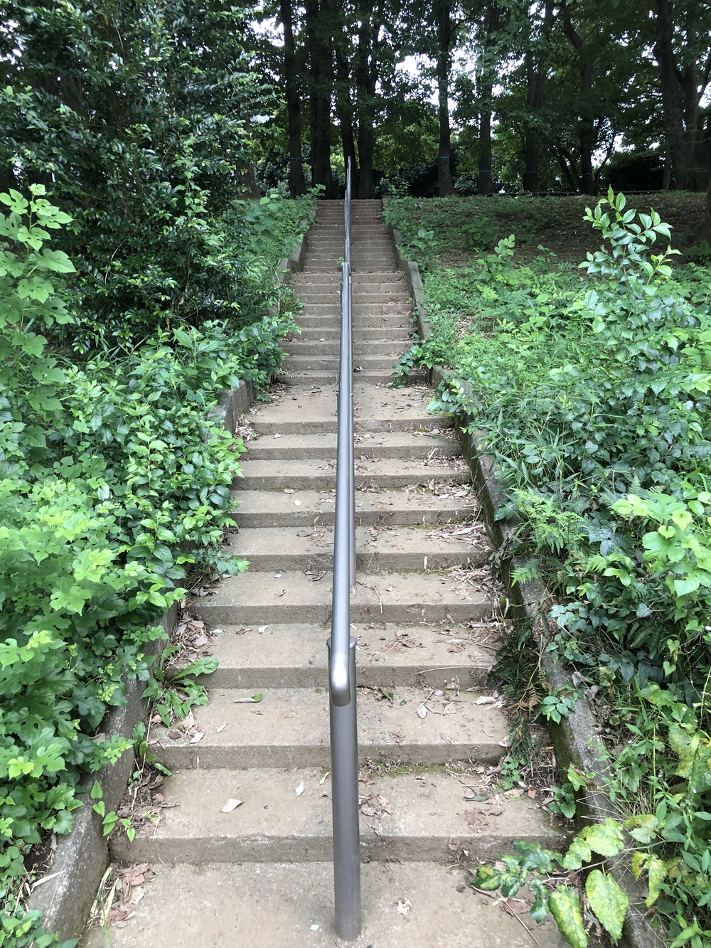 【饂飩付き】新座市坂道階段トレーニング周回コースの写真5