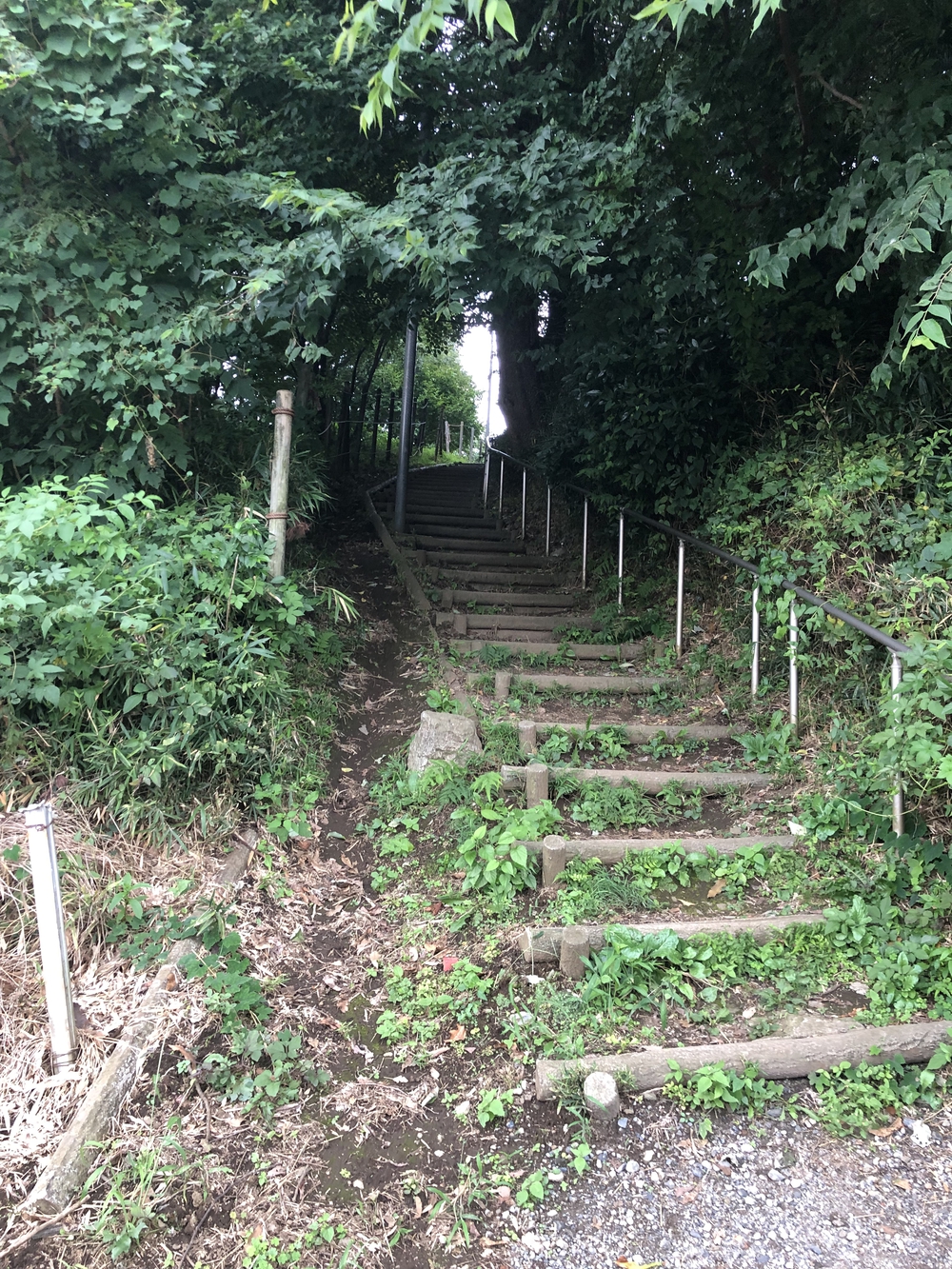 【饂飩付き】新座市坂道階段トレーニング周回コースの写真7