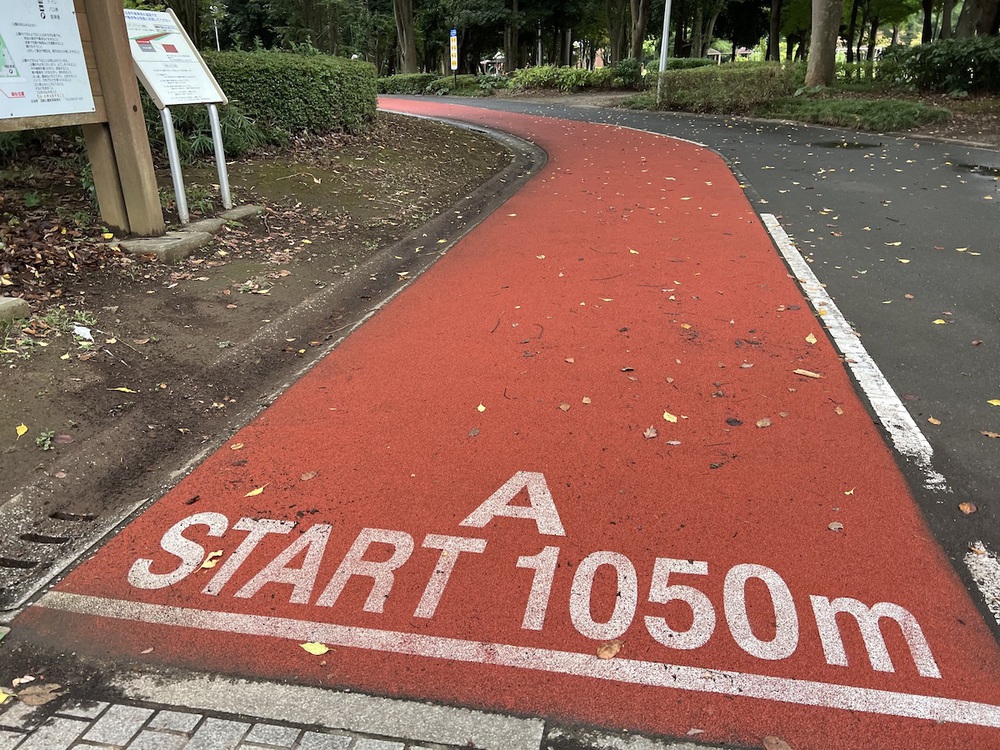3種類の周回コース＋αが選べる洞峰公園の写真4