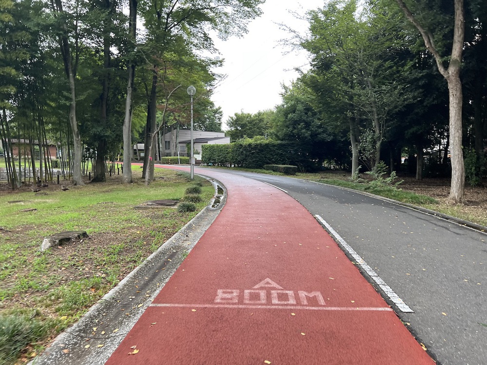 3種類の周回コース＋αが選べる洞峰公園の写真5