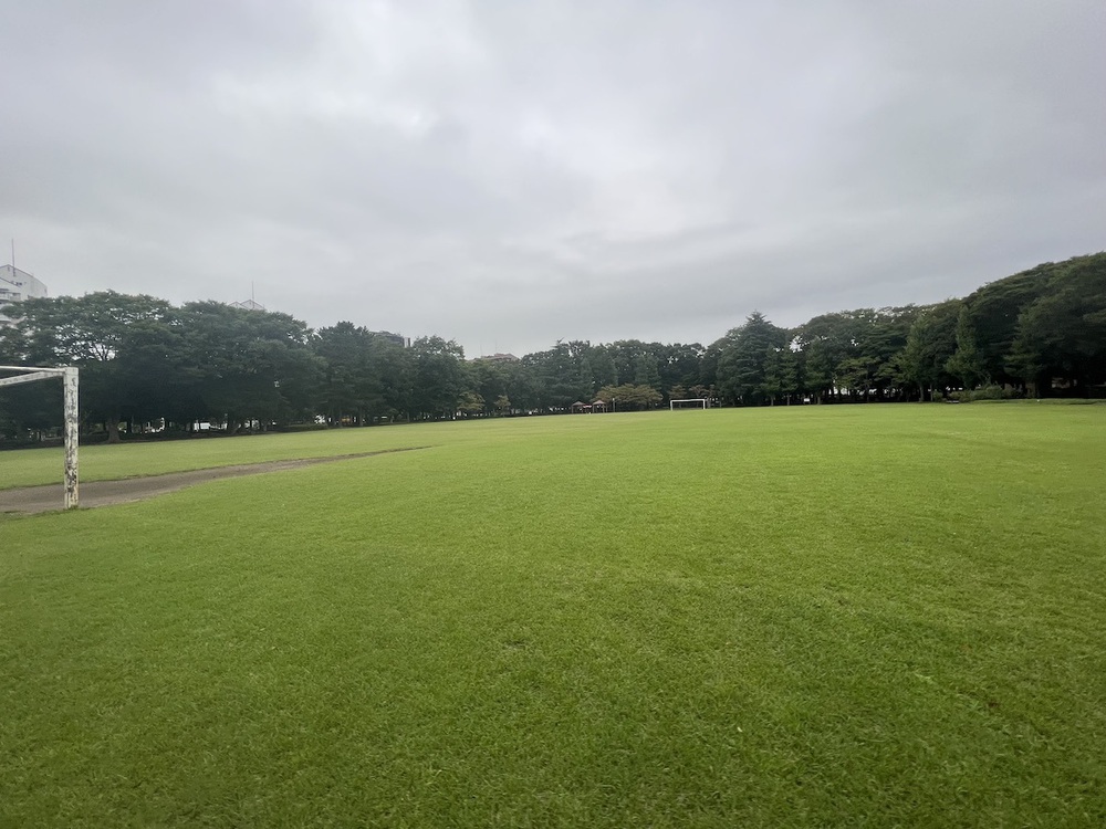 3種類の周回コース＋αが選べる洞峰公園の写真6