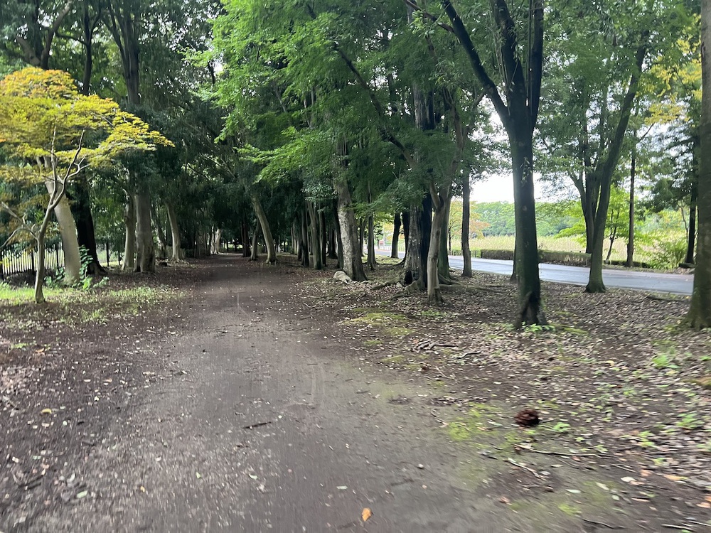 3種類の周回コース＋αが選べる洞峰公園の写真7