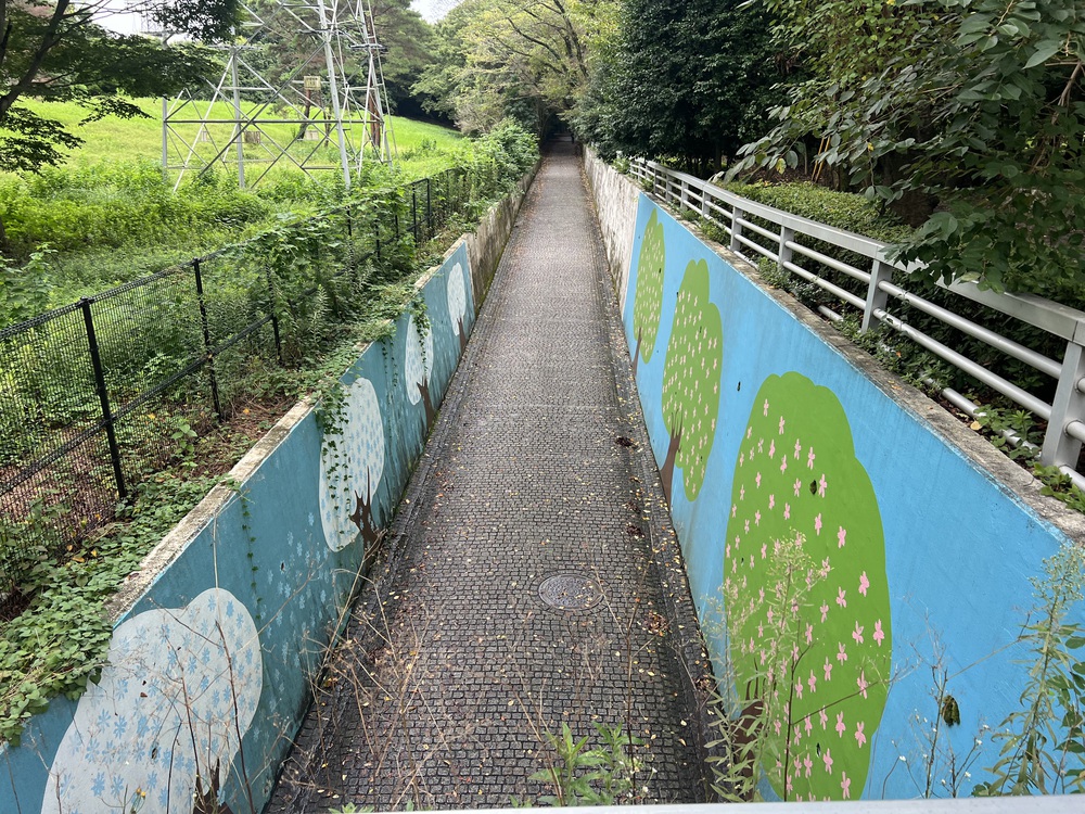 つくば公園通り（ペデストリアンデッキ）の写真3