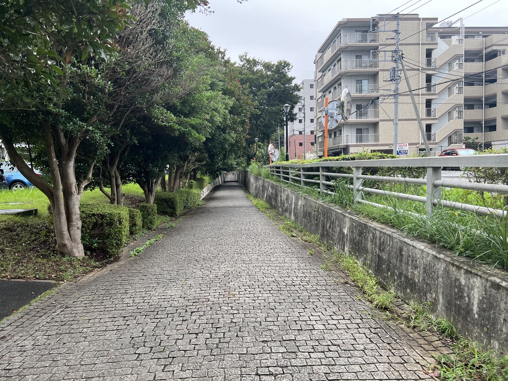 つくば公園通り（ペデストリアンデッキ）の写真4