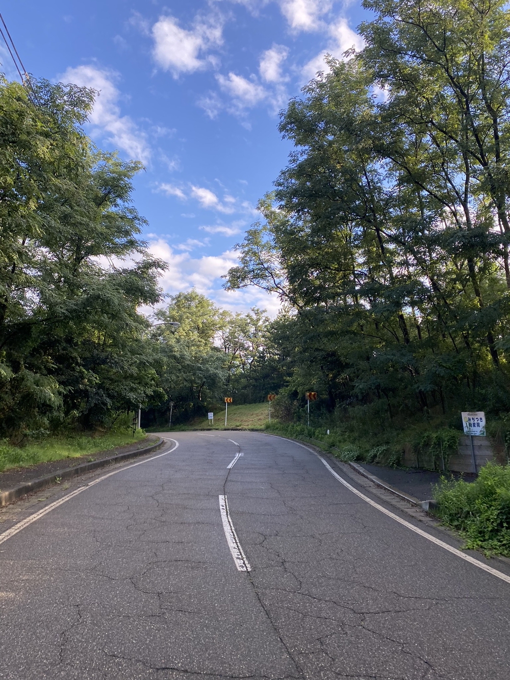 新潟の五十嵐浜をモーニングランの写真3