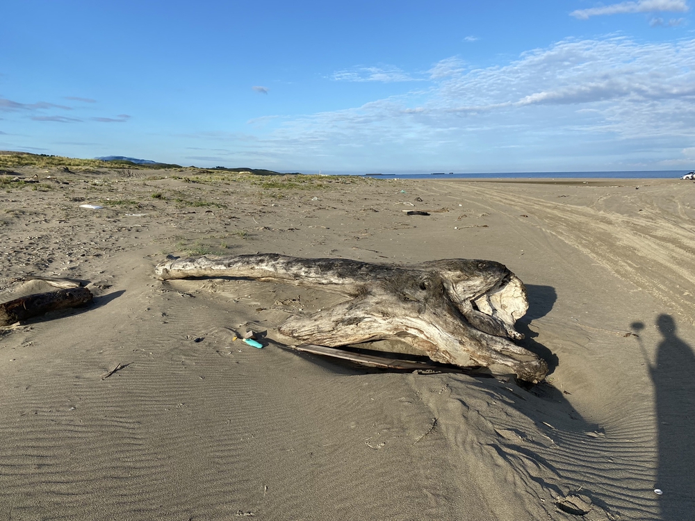 新潟の五十嵐浜をモーニングランの写真6