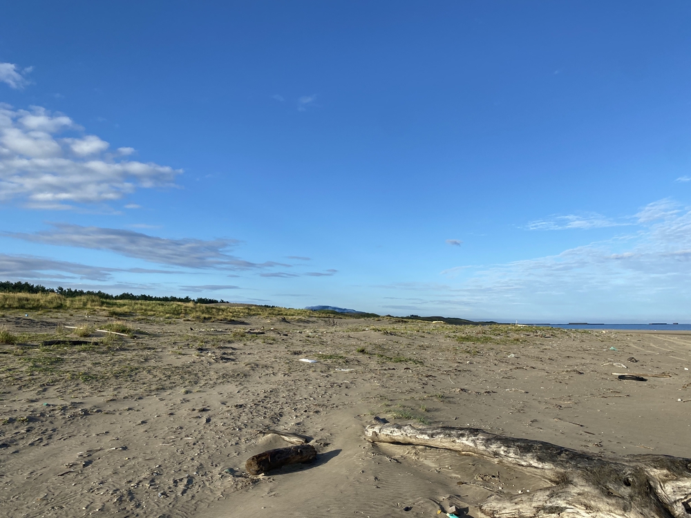 新潟の五十嵐浜をモーニングランの写真7