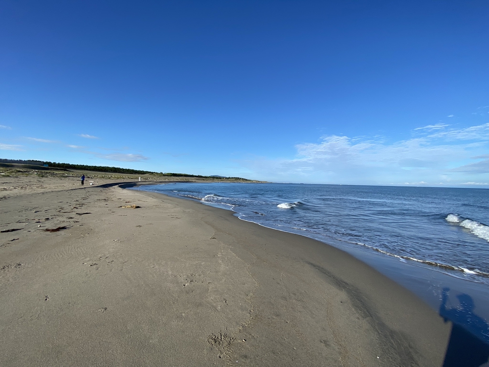 新潟の五十嵐浜をモーニングランの写真12