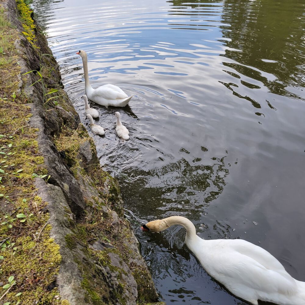 彦根城下の高速周回コースの写真4