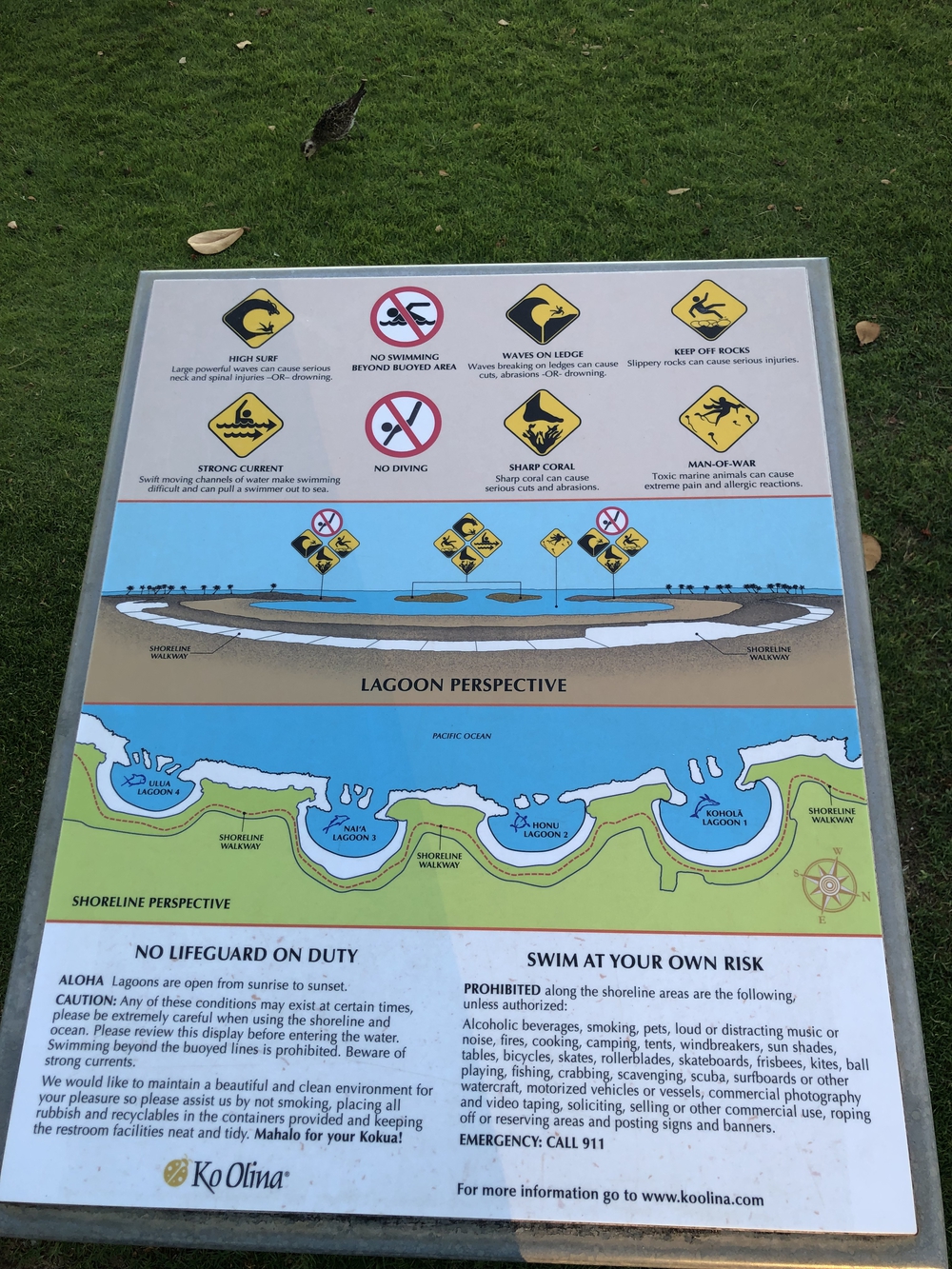 Ko Olina ラグーンをリゾートランニング往復4キロの写真5